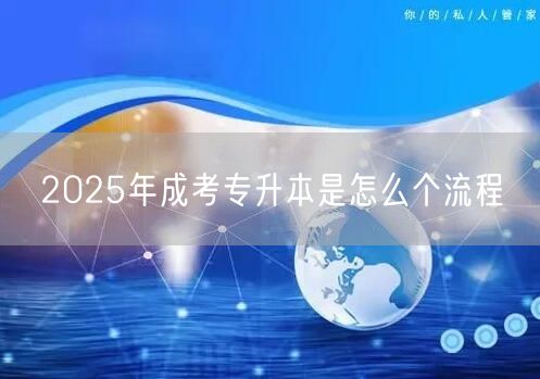 2025年成考专升本是怎么个流程(图1)